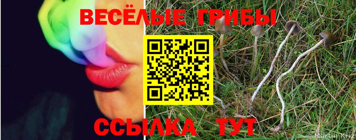 Псилоцибиновые грибы мухоморы  Галлюциногенные грибы мицелий  Вход с VPN  Торжок 